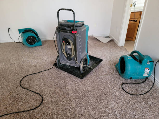 Best Carpet water damage restoration  in San Castle, FL