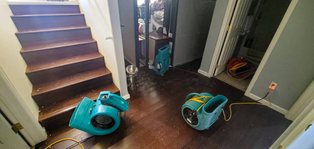 Best Professional water damage repair  in San Castle, FL