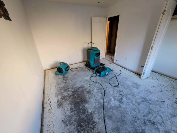 Best Commercial water damage restoration  in San Castle, FL