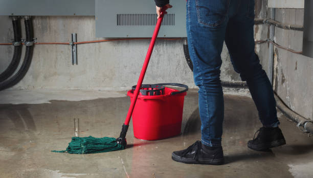 Best 24-hour water damage restoration  in San Castle, FL